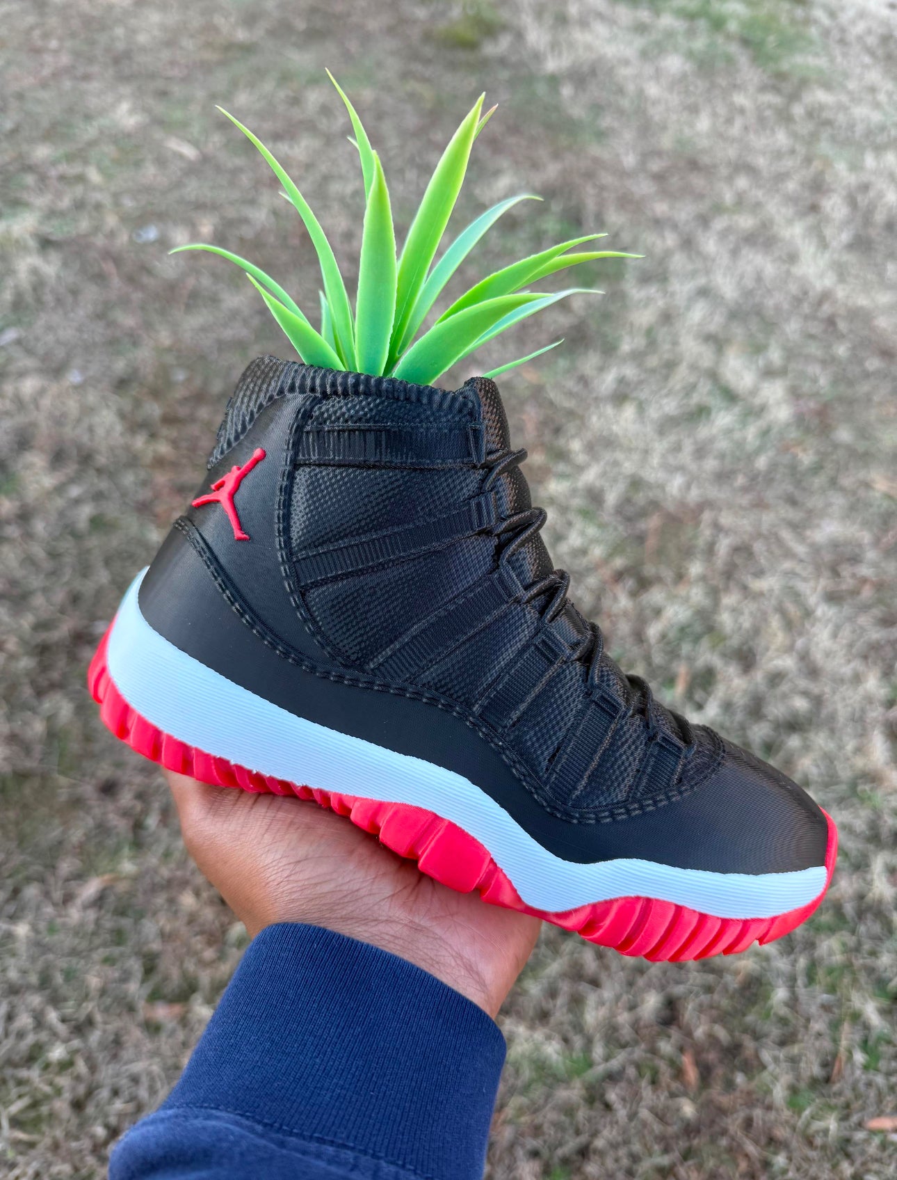 Bred Legacy Jordan 11 Planter